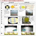 免驱动光引擎LED10W交流投光灯光源 4