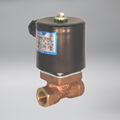 Cryogenic Solenoid Valve