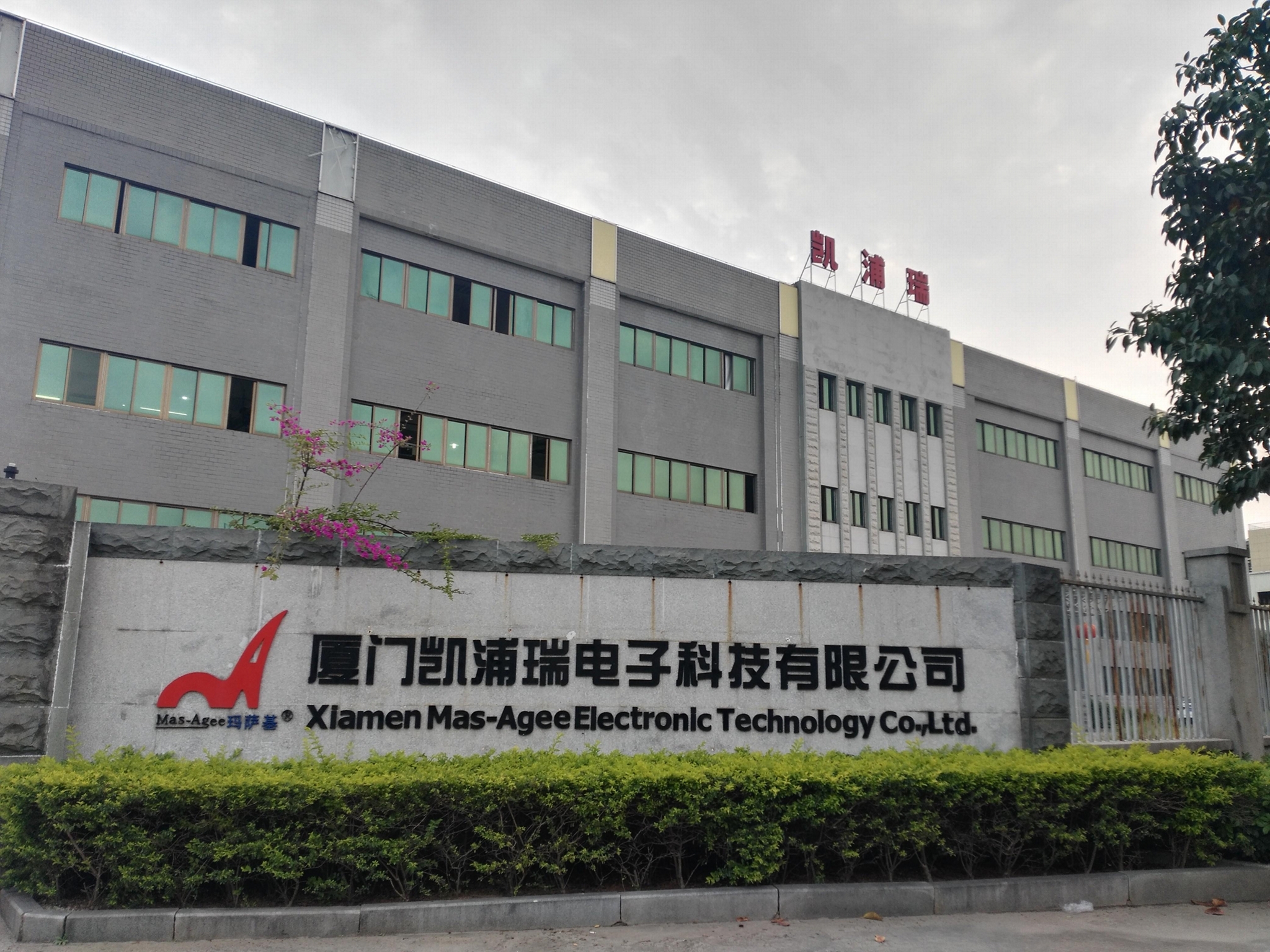 Xiamen MasAgee Electronic Technology Co., Ltd (China Manufacturer