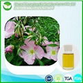 Evening Primrose Oil