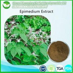 Epimedium Extract