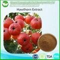 Hawthorn Extract