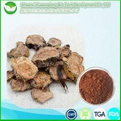 Rhodiola Rosea Extract