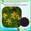 Hypericum Perforatum Extract