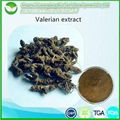 Valerian Extract