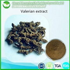 Valerian Extract