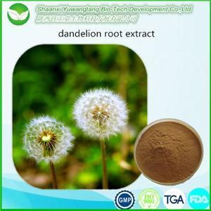 Dandelion Extract