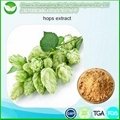 Hops Extract 1