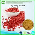 Goji Berry Extract 1