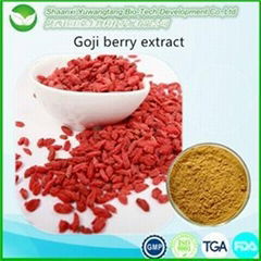 Goji Berry Extract