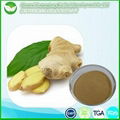 Ginger Extract