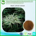 Black Cohosh Extract 1