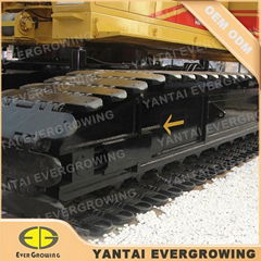 Yantai Evergrowing Import and Export Co.,Ltd