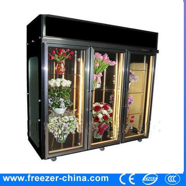 Flower FreshKeeping Freezer XHGA SANYE (China Manufacturer