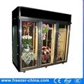 Flower Fresh-Keeping Freezer 3