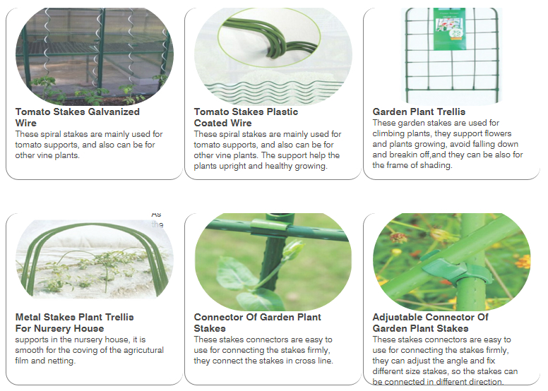 tomato stakes Shanghai J.L Horticulture and Agriculture Supplies