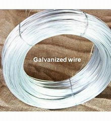 plant wire