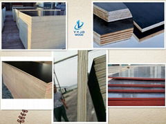 Black Film faced plywood used in concrete construction