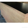 Black Film faced plywood used in concrete construction 2