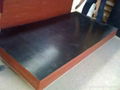 Black Film faced plywood used in concrete construction 3