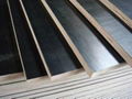 Black Film faced plywood used in concrete construction 5