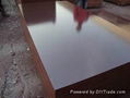 15mm Film faced plywood, building