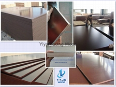 film faced shuttering formwork plywood