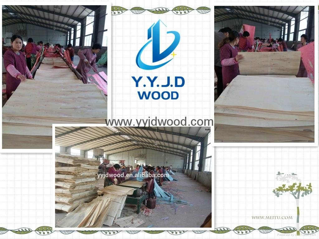  film faced shuttering formwork plywood specifications for building construction 4
