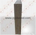 Multilayer Film Faced Plywood 3