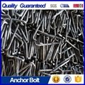 high sthength ga  anized stainless steel anchor bolts 12mm size used as hardware