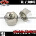 Titanium Hex Nuts