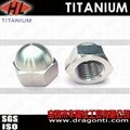 Titanium Cap Nuts