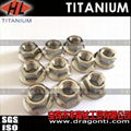 Titanium Flange Nuts