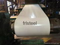 Pre-painted steel Coil 3