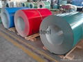 Pre-painted steel Coil 4