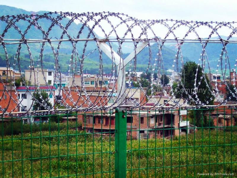 Metal Razor Wire Fence 5