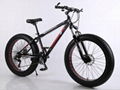 Hot Sale 20 Inch Mountain Bike