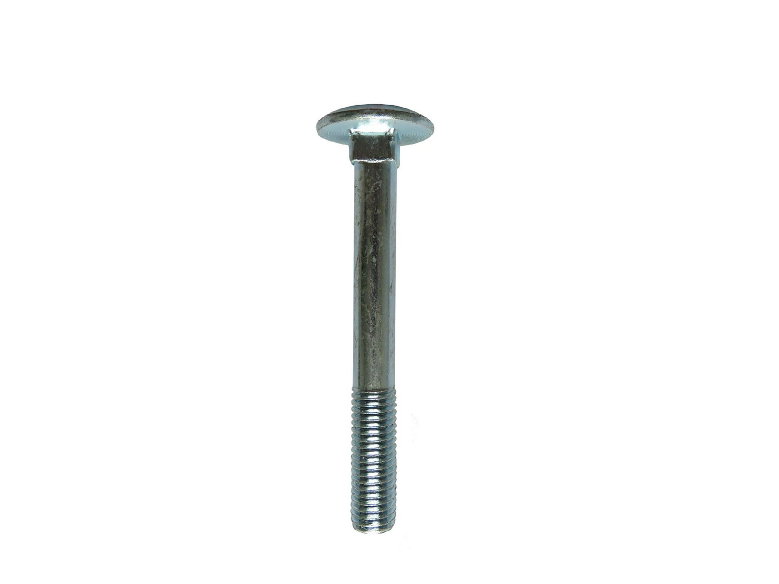 Carriage bolt