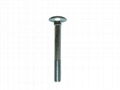 Carriage bolt