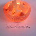 Himalayan Salt lamp 2