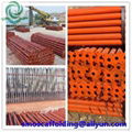 Factory supply Adjustable Scaffolding