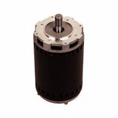 GY7824 Series AC Motor