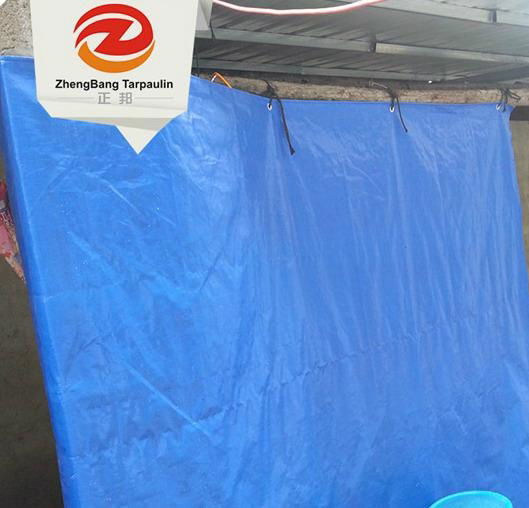 Canvas fabric PE tarpaulin manufacturer | China PE tarpaulin in Rolls 