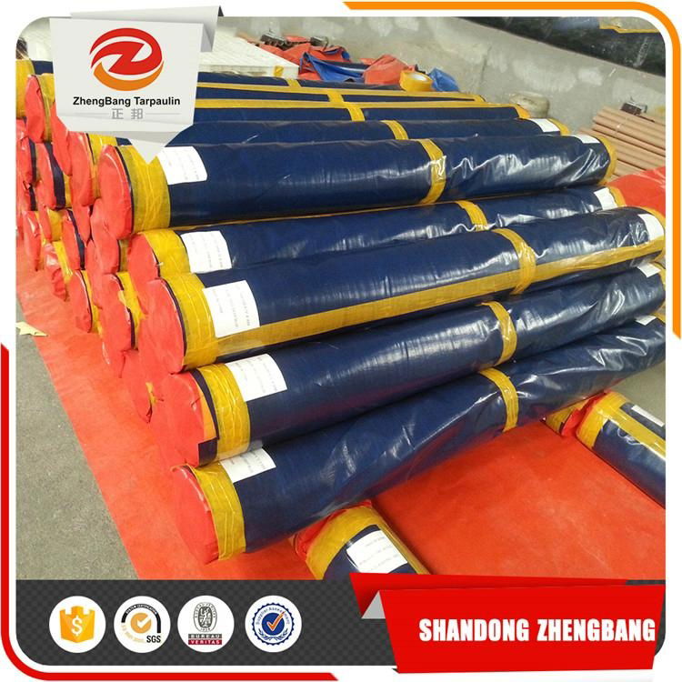  PE tarpaulin plastic sheet with all specifications 