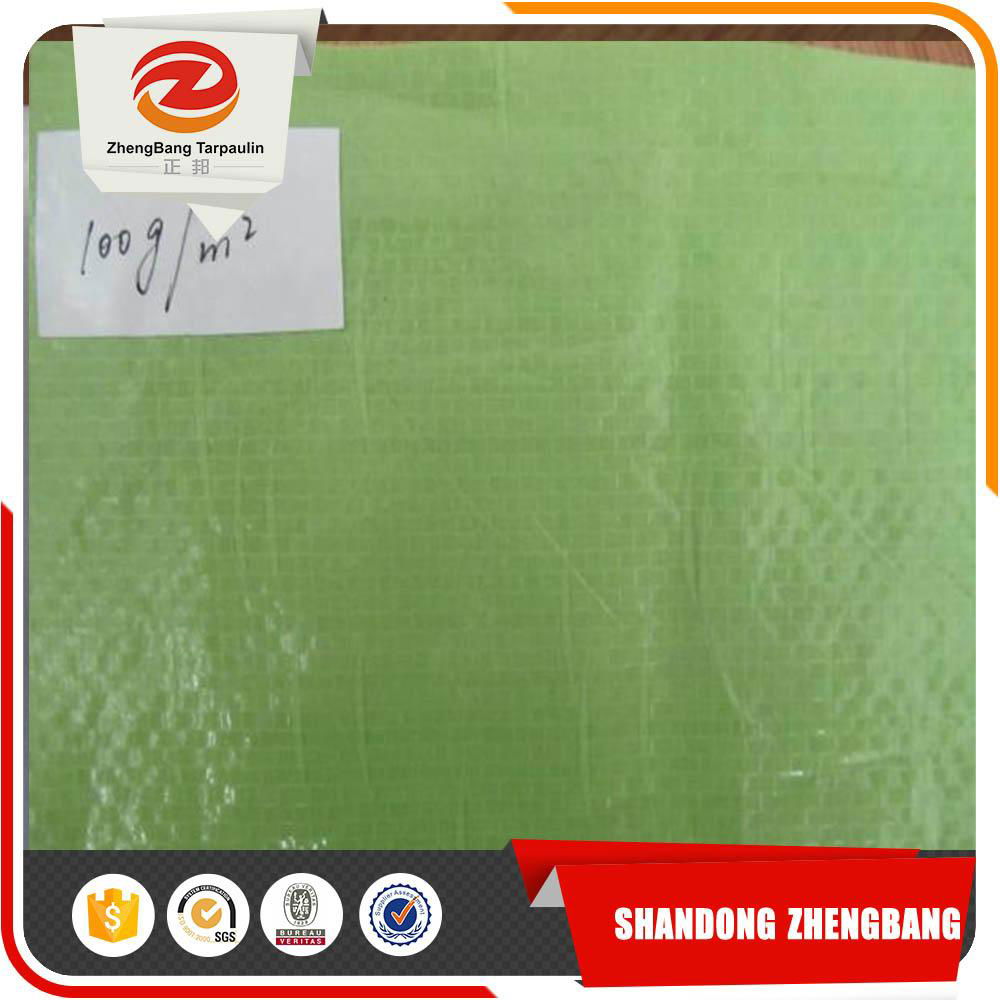 Pe Tarpaulin sheet for tent covers