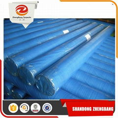 Heavy Duty Plastic PE Tarpaulin from