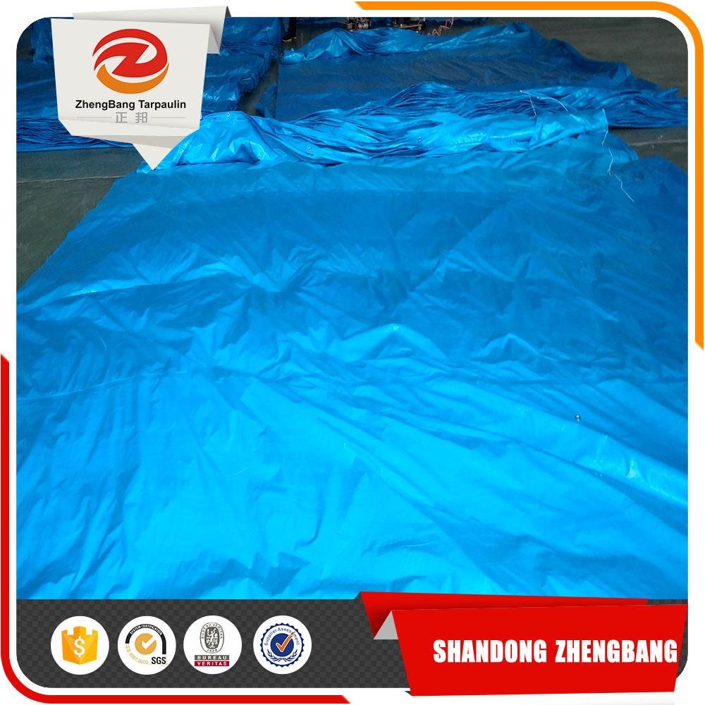 waterproof PE material plastic Tarpaulin sheet 3