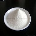 山东润昕厂家直供氨基葡萄糖硫酸盐 2