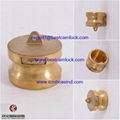 Top Quality Brass Camlock Coupling  for composite hoses 3