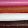 PPGS For Leather Finishing Agents